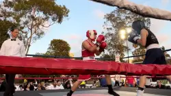 Punches in the Piazza hits Little Italy for third annual boxing event