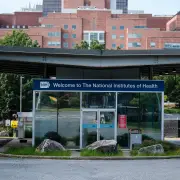 Whistle-Blower Complaints Detail Tension Over Vaccines at N.I.H.
